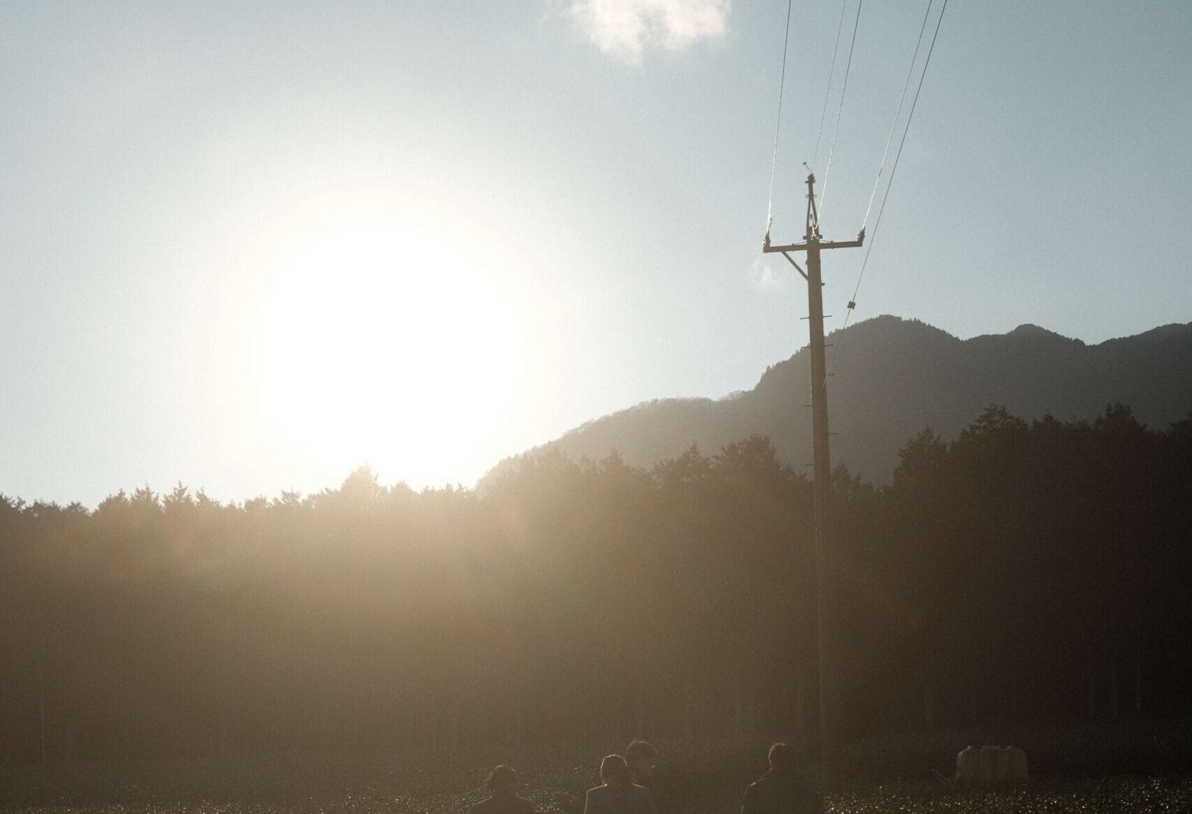 茶の精神と日本茶の哲学