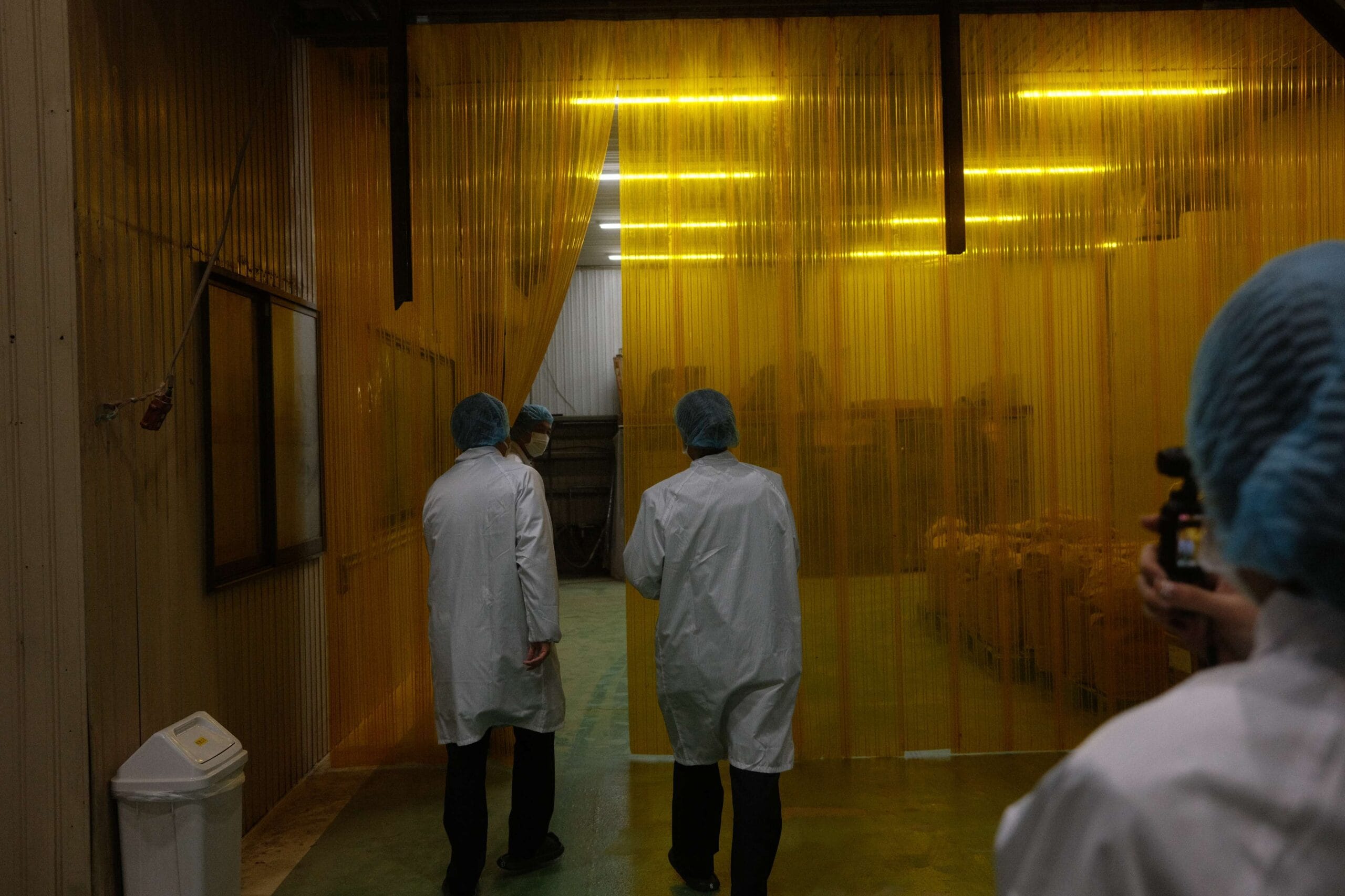 生産者との長期的な信頼関係と日本茶づくり